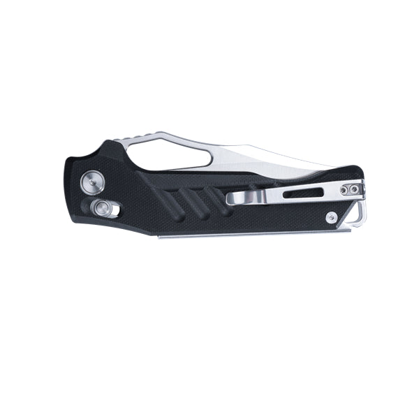 SRM 238X-GB (D2 blade, G10 handle, Mono Chassis, ambi lock)